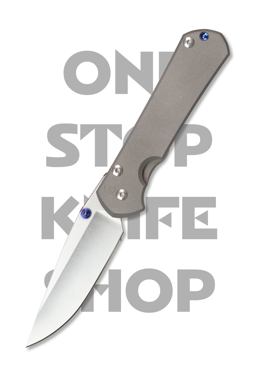 Chris Reeve Large Sebenza 31 Plain Drop Point